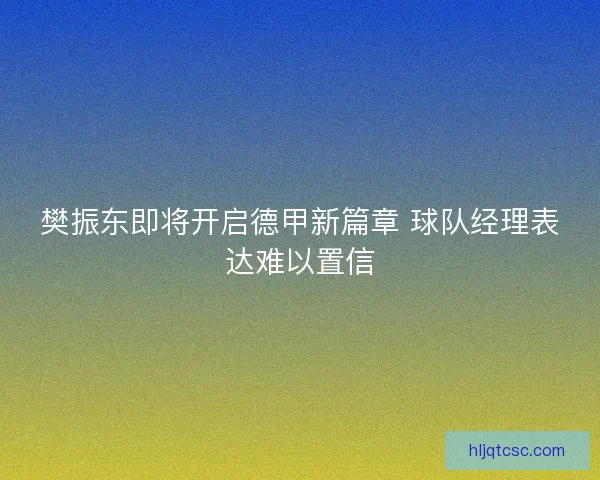 樊振东即将开启德甲新篇章 球队经理表达难以置信